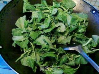 第一次的味道--蒜蓉白苋菜的做法步骤：4