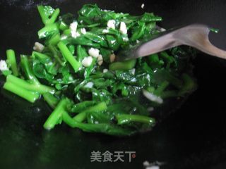 蒜香木耳菜的做法步骤：3