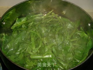 【川菜】——青红小米辣拌空心菜的做法步骤：4