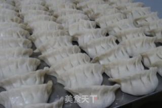 韭菜猪肉水饺的做法步骤：9