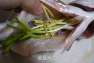 清蒸鲈鱼的做法步骤：3