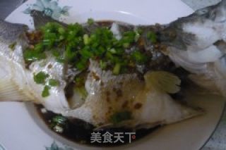 清蒸鲈鱼的做法步骤：7