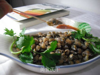 “盘中明珠”鲜之螺——白灼黄米螺的做法步骤：9