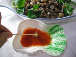 “盘中明珠”鲜之螺——白灼黄米螺的做法步骤：10