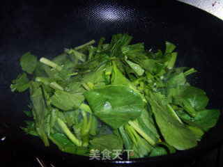 清炒菜心的做法步骤：5