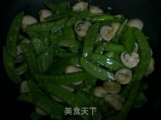 草菇荷兰豆的做法步骤：5