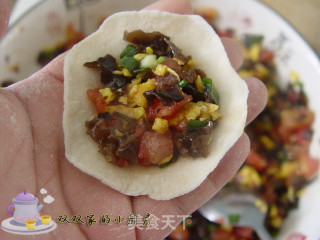 西红柿鸡蛋饺的做法步骤：15