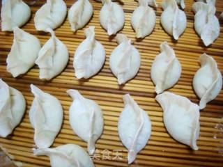 韭菜猪肉水饺的做法步骤：10