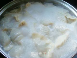韭菜猪肉水饺的做法步骤：12