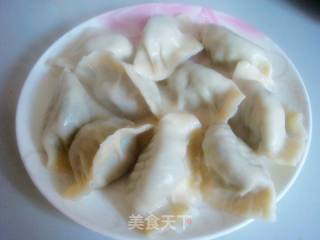 韭菜猪肉水饺的做法步骤：13