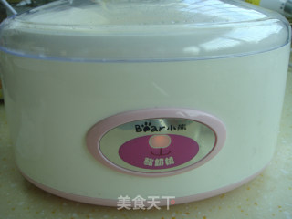 酸奶机自制酒酿的做法步骤：6