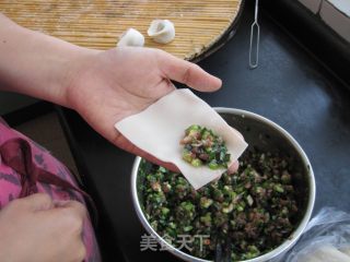 【鲁菜】韭菜鲜肉小馄饨的做法步骤：7