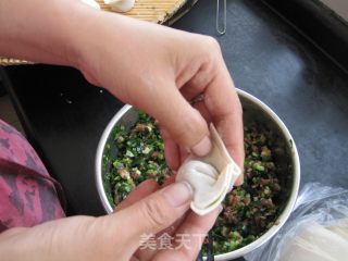【鲁菜】韭菜鲜肉小馄饨的做法步骤：10