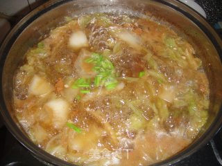 猪肉白菜炖粉条的做法步骤：7