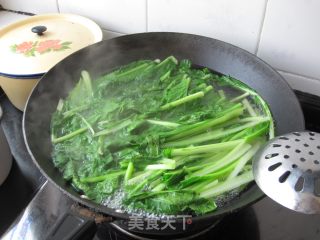【鲁菜】小白菜饺子的做法步骤：4