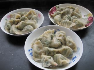 【鲁菜】小白菜饺子的做法步骤：16