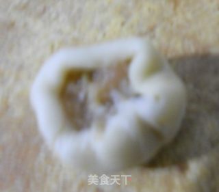 酥皮点心-飘香鸡肉馅儿的做法步骤：19