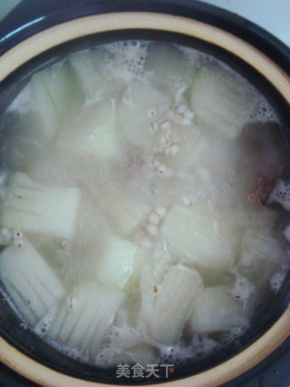 【粤菜】冬瓜薏米煲水鸭的做法步骤：6