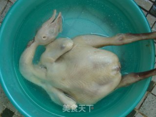 【粤菜】白切鸡的做法步骤：6