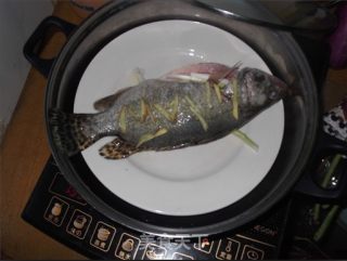 【粤菜】清蒸桂花鱼的做法步骤：3