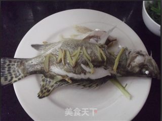 【粤菜】清蒸桂花鱼的做法步骤：7