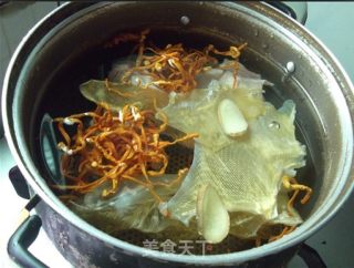 【粤菜】花胶虫草花鱼翅汤的做法步骤：3