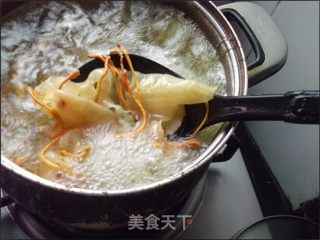 【粤菜】花胶虫草花鱼翅汤的做法步骤：5