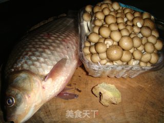 鲫鱼蟹味菇的做法步骤：1