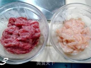【粤菜】――“五彩鸳鸯柳”的做法步骤：3