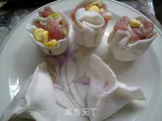 粤菜小吃--水晶饺(健康无油版)的做法步骤：5