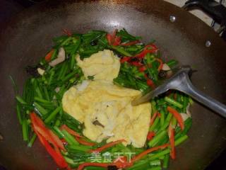 家常小炒--韭菜花炒鸡蛋的做法步骤：8