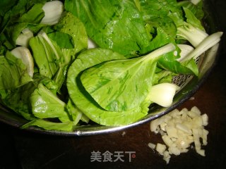 清炒小白菜的做法步骤：2