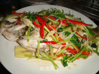 清蒸鳜鱼的做法步骤：7
