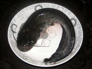 【粤菜】豆豉蒸鲶鱼的做法步骤：1