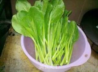 【粤菜】白灼菜心的做法步骤：1