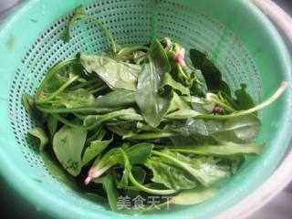 菠菜炒蛋的做法步骤：1