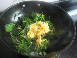 菠菜炒蛋的做法步骤：4