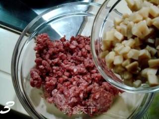 异域美食――“土耳其馅饼”的做法步骤：3