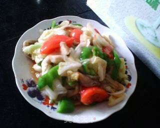 鲜蘑圆白菜的做法步骤：9