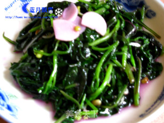 蒜香紫贝菜的做法步骤：7