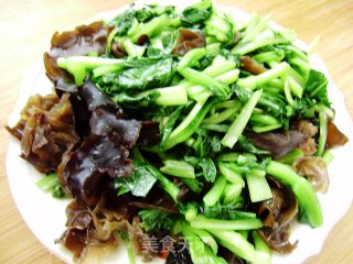 爆油菜木耳的做法步骤：4