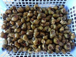 【闽菜】酱爆螺狮（最美味的下酒菜）的做法步骤：1