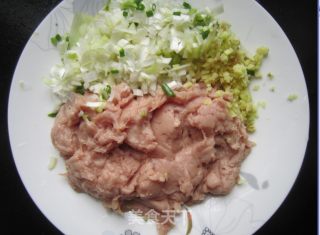 芹菜猪肉脆皮煎饺的做法步骤：2