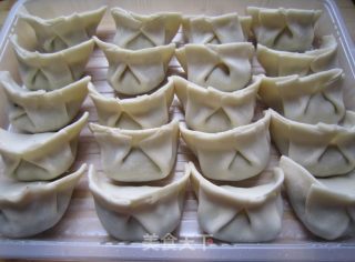 芹菜猪肉脆皮煎饺的做法步骤：6