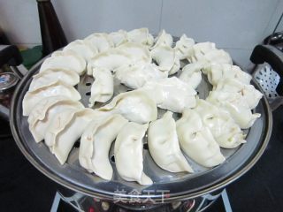 葫芦瓜虾米蒸饺的做法步骤：7
