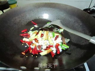 啤酒鸭的做法步骤：5