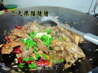 啤酒鸭的做法步骤：9