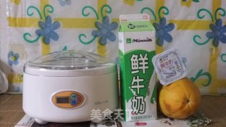 来到《美食家》的第一道美味——DIY木瓜酸奶的做法步骤：1