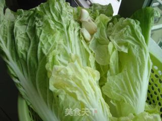 清炒白菜的做法步骤：1