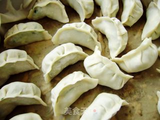 初伏的饺子的做法步骤：9